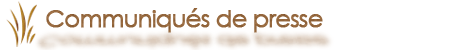 rallye de france dunes et marais