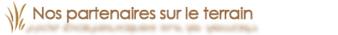 rallye de france dunes et marais