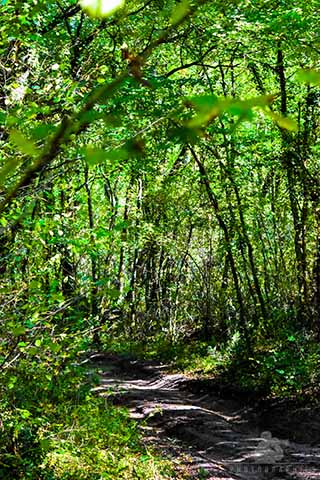 Rallye National Dunes et Marais 2022 45ème édition