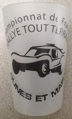plaque Rallye Dunes et Marais 2013